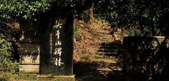 【国庆】【爆款五星】秋染莫干山4天3晚五星<全程赠送3早6正餐>